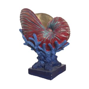 Sea Shell